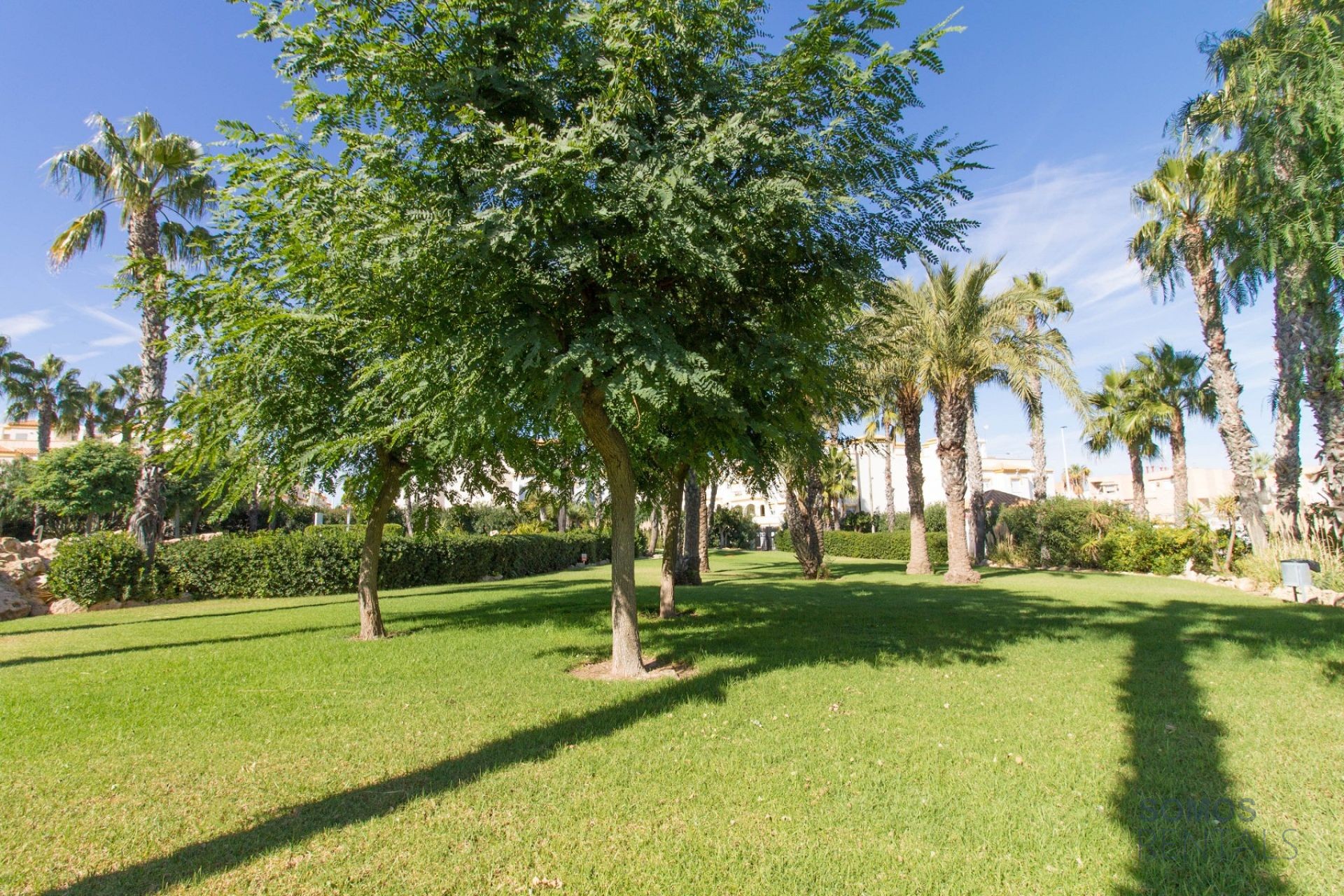 Casa Tropical, Gran Alacant — photographie 31