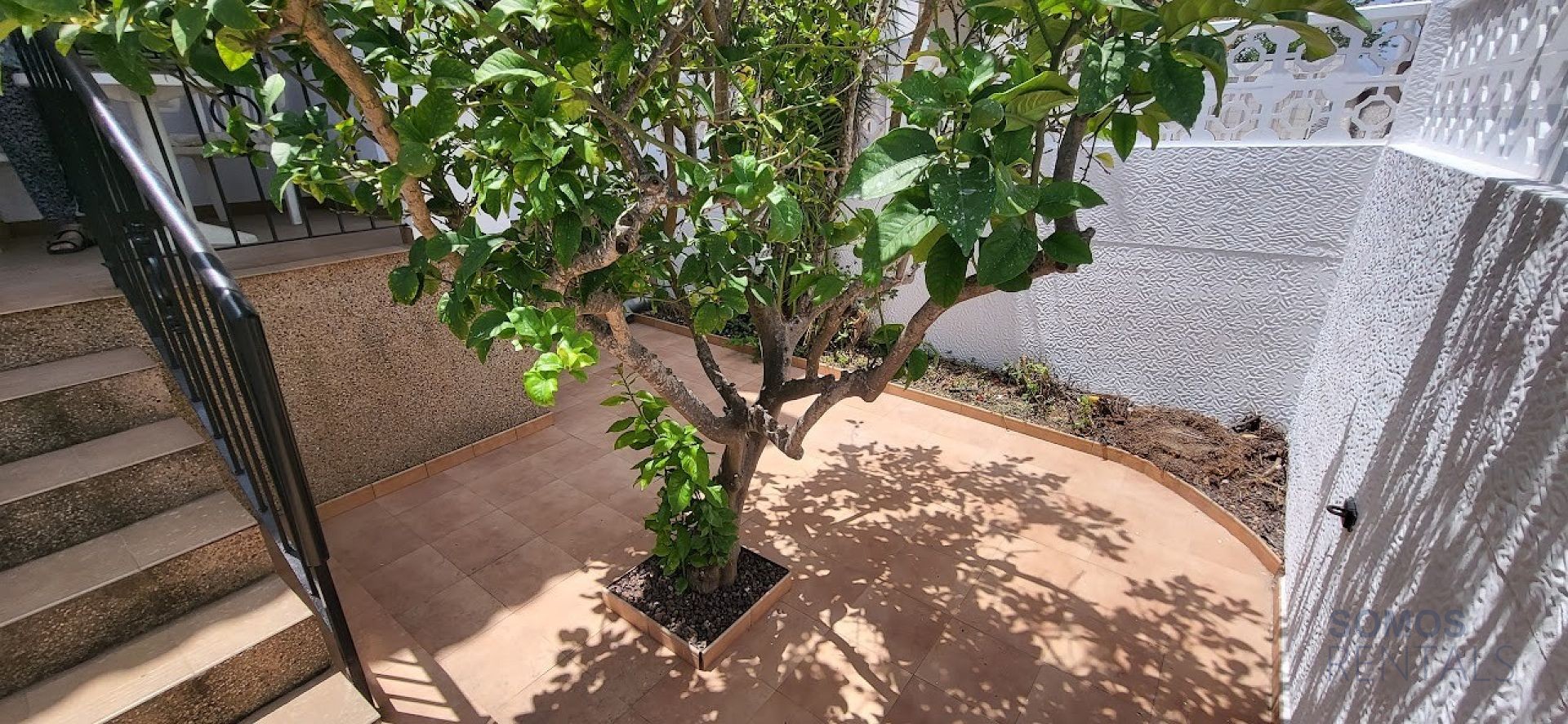 Casa Tropical, Gran Alacant — photographie 4