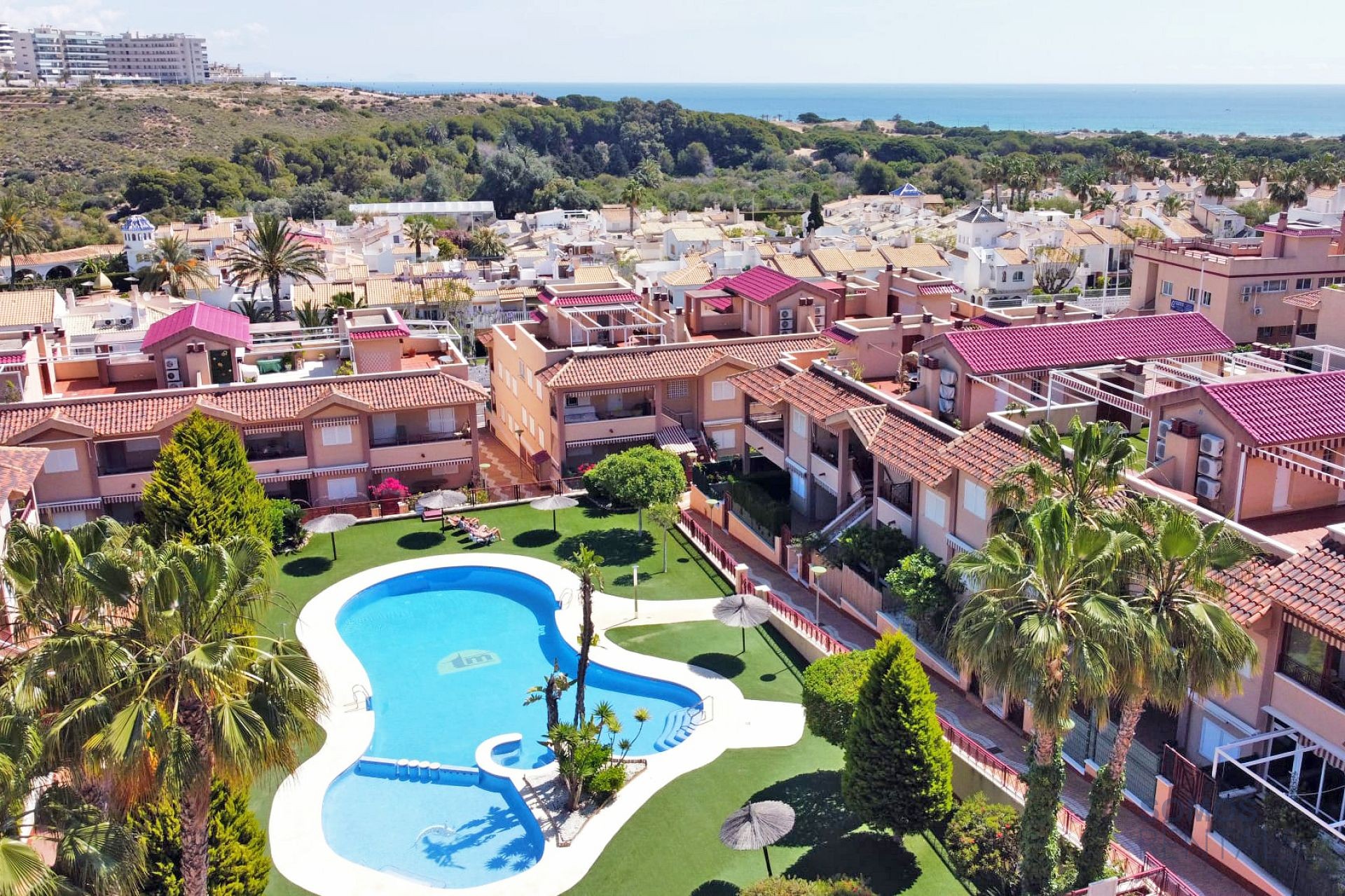 Casa Jardin Salamandra, Gran Alacant — fotografía 57