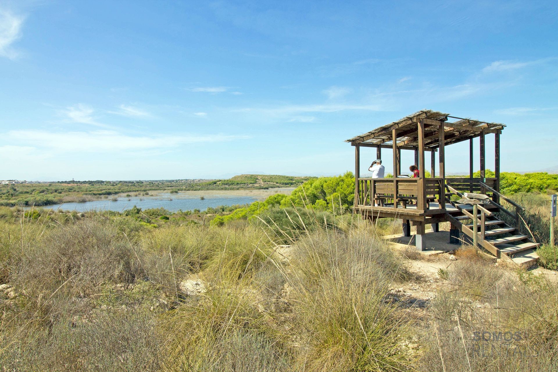 Casa Jardin Salamandra, Gran Alacant — fotografía 67