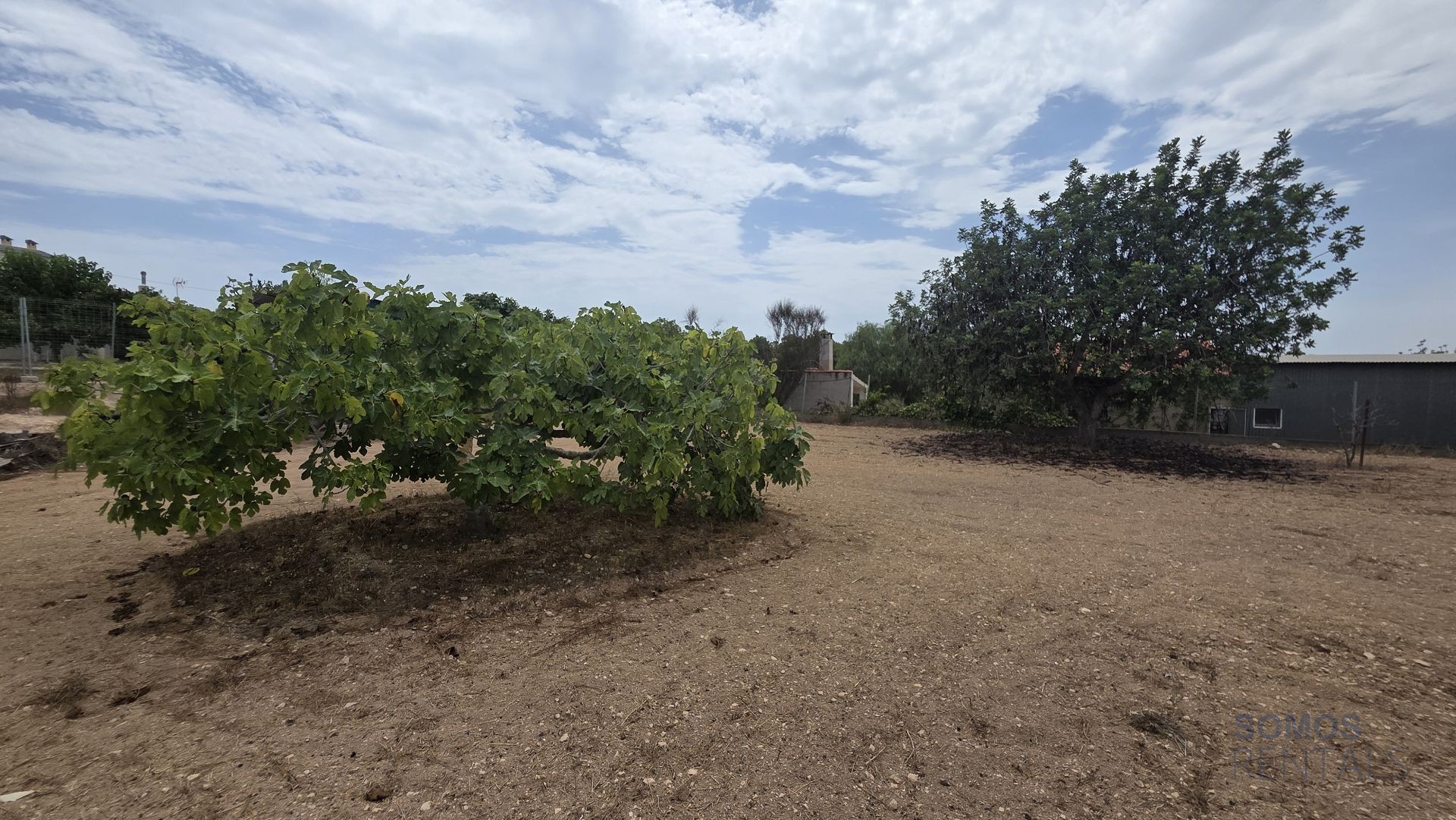 Villa Carmen, La Escuera — photographie 34