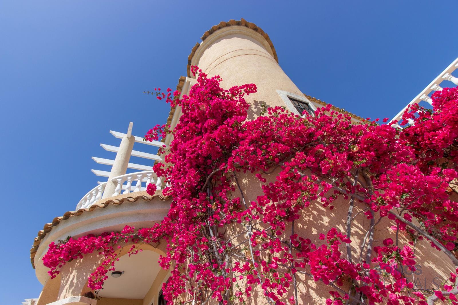 Villa Pedro, Urb La Marina — photographie 21