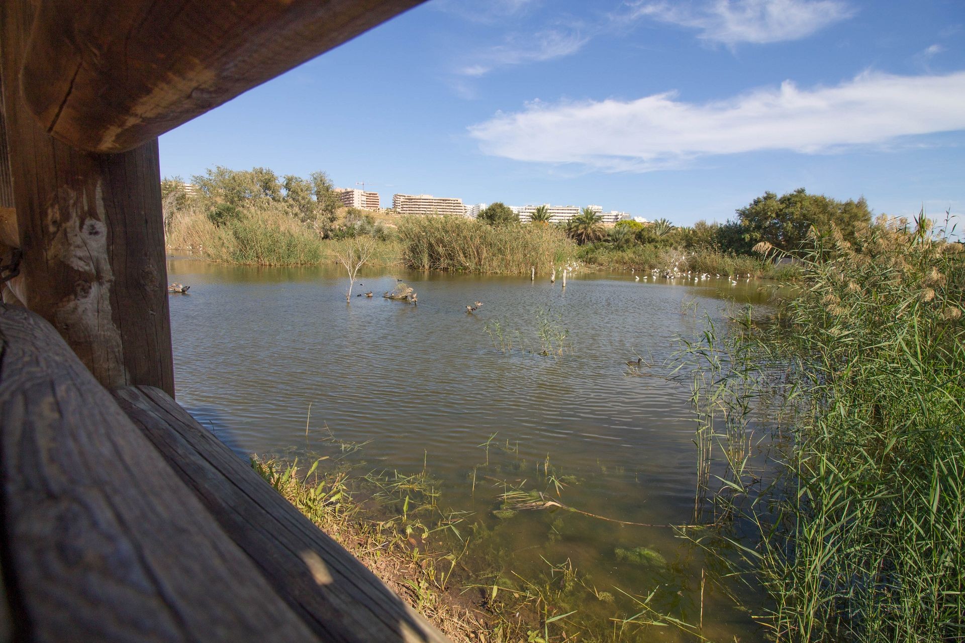 Casa Rosa, Gran Alacant — Foto 53