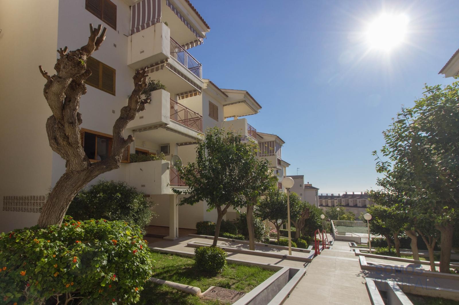 Apartamento Malaga, Santa Pola — fotografía 33